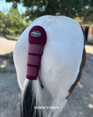 Krajší záber dnes už neuvidíte.🤭 Chránič chvosta AirFlow Pro-Tech sa postará o to, aby bol váš kôň v bezpečí a štýlový aj...