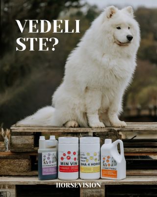 Niektoré vitamíny a krmné doplnky Dromy nie sú určené len pre kone, ale pokojne ich môže využívať aj váš psík 🐶 Vybrané...